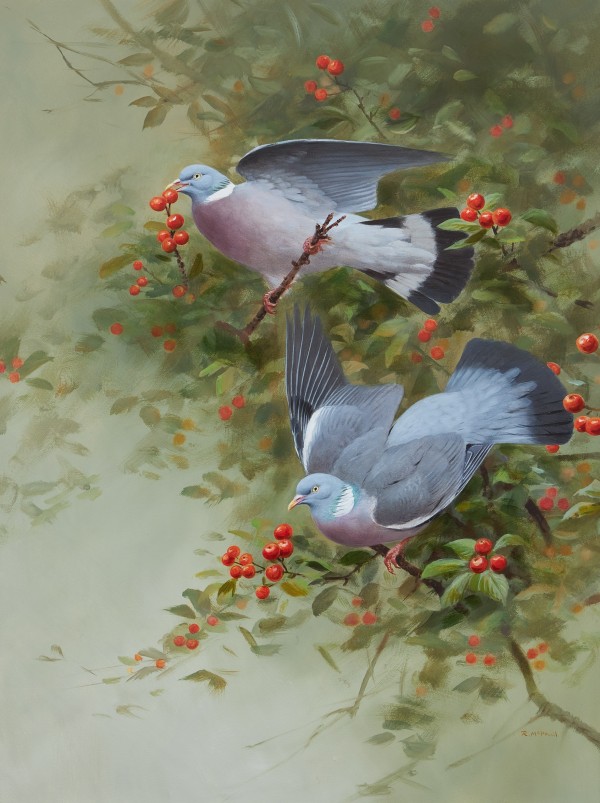 Rodger McPhail , Pigeon and berries