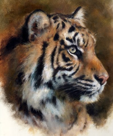 Mandy Shepherd , Tiger