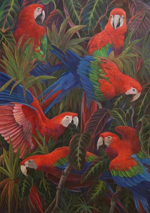 Emma Faull , Red and Green Macaws on black ground