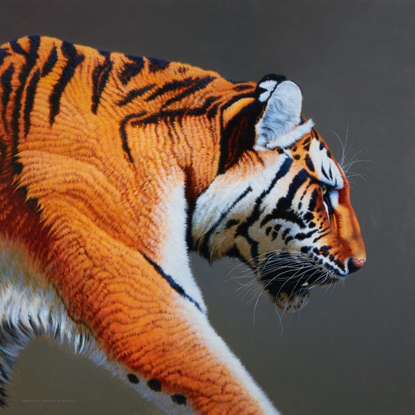 David Ord Kerr, Tiger