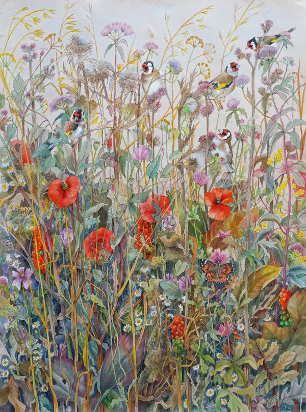 Emma Faull , Autumn meadow: Goldfinches and Painted Lady