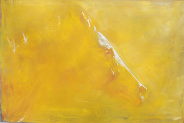 Michelle McCullagh, Yellow