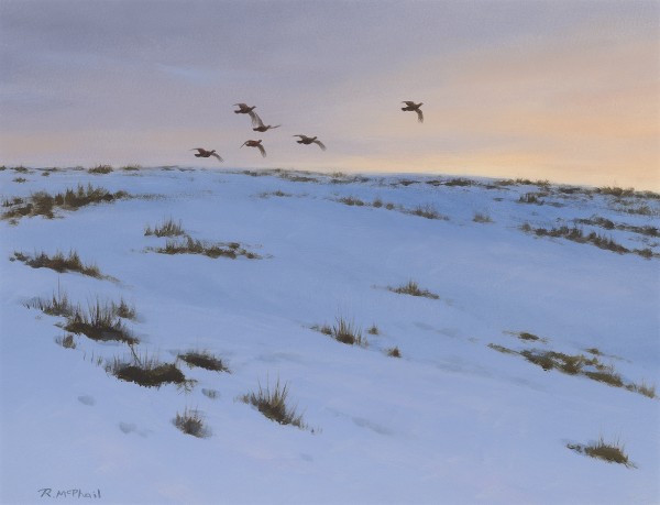 Rodger McPhail , Going to roost