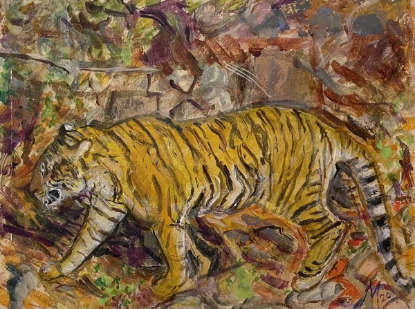 Marcia Gibson-Watt, Tiger Pii on the move, Ranthambore National Park, India