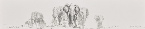David Shepherd , CBE, Elephants