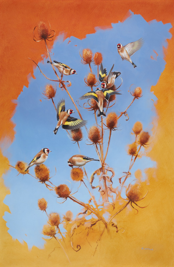Rodger McPhail , Goldfinches