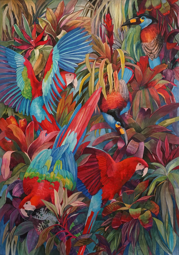 Emma Faull , Red and Green Macaws