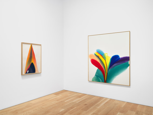 Jenkins Ttny Install 9 300Dpi