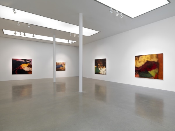 Liliane Tomasko Vestige