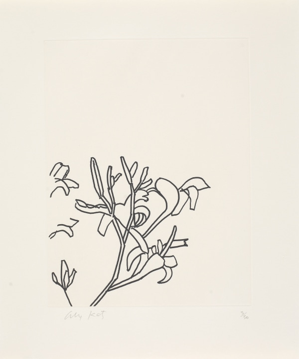Alex Katz in Surface Tension: Etchings from the Collection, Colby Museum of Art, Maine