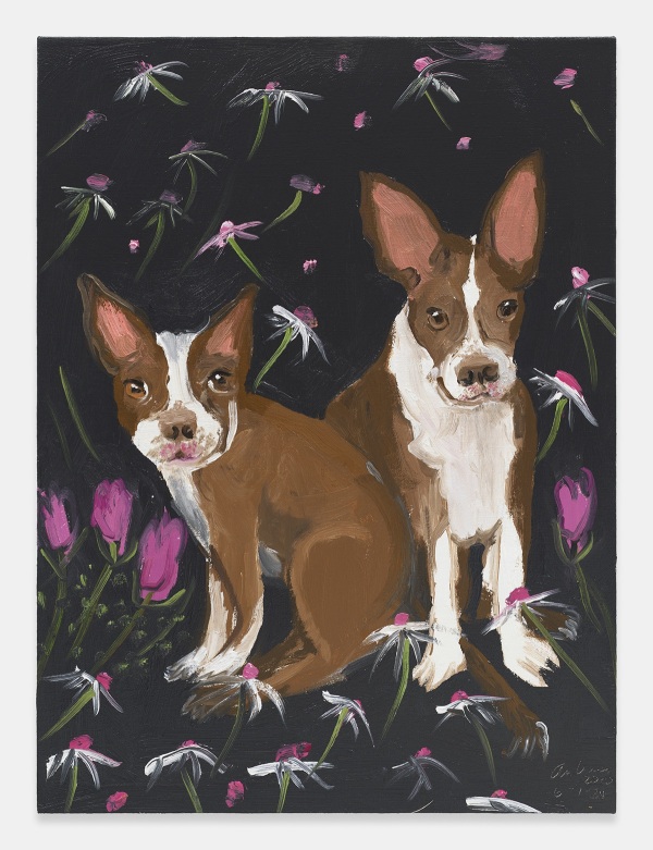 Anna Craven, “Magic and Moonlight in Night Field,” 2024