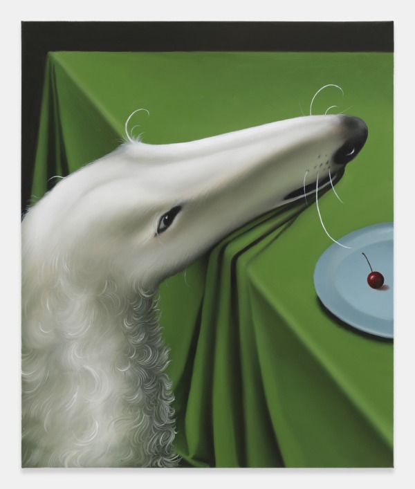 Justin Liam O’Brien, “Hungry Borzoi,” 2024