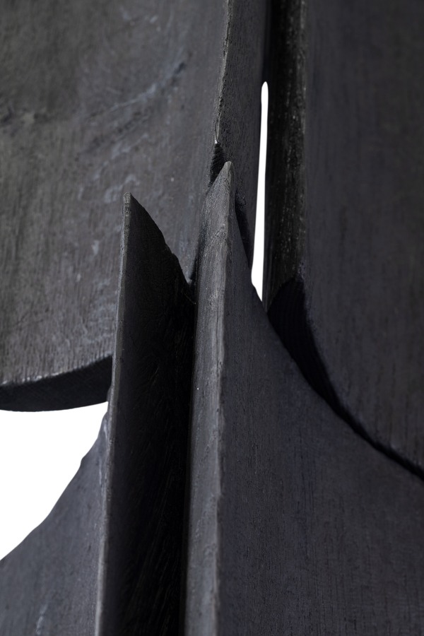 Detail of abstract wooden sculpture.
