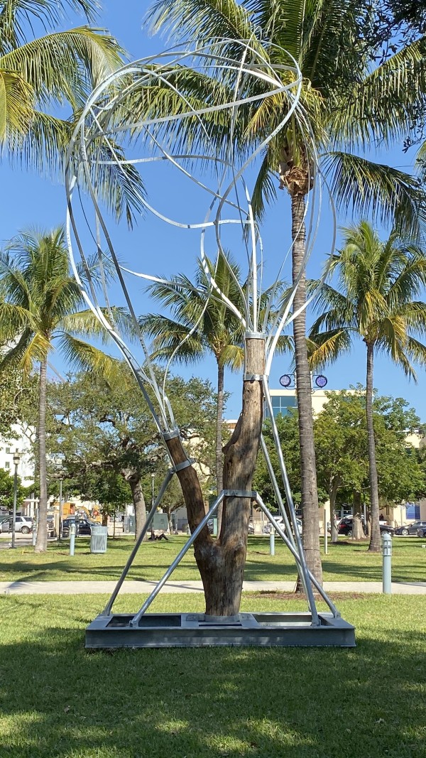 Pablo Reinoso, Still Tree, 2019