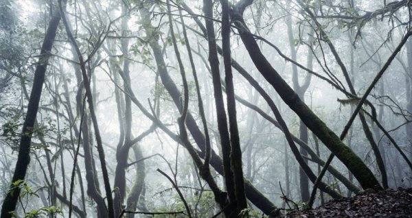 Axel Hütte, Canada de Jorge - 1, La Gomera, 2006