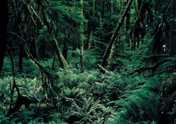 Axel Hütte, San Juan River, Canada, 2007