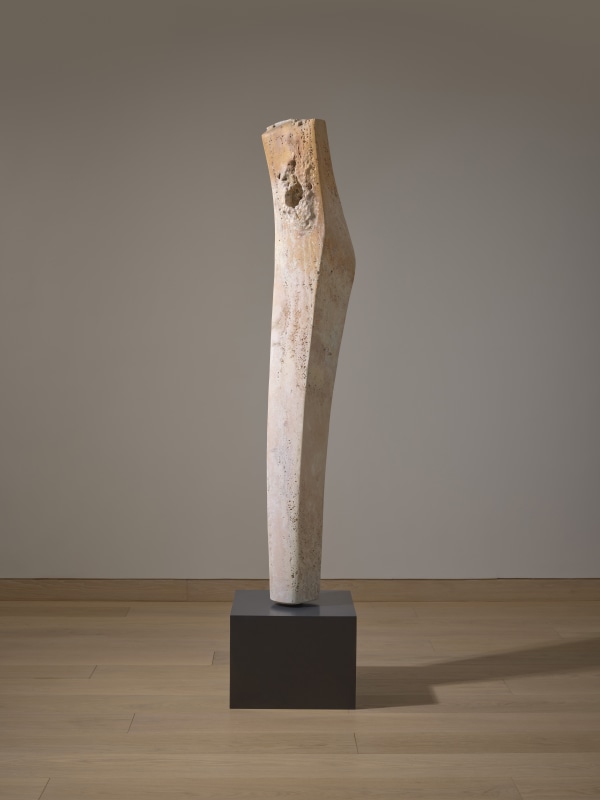 Yves Dana, Apparition, 2024