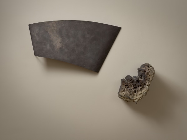 Yves Dana, Métamorphose, 2022