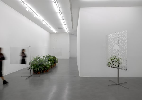 Image: Luciano Fabro