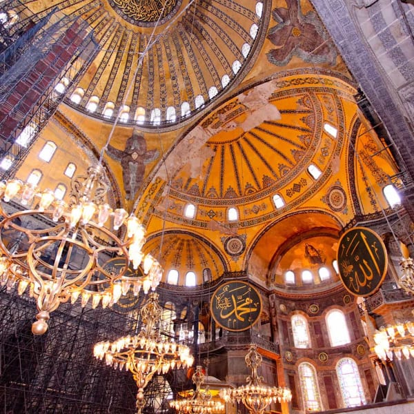 Art Movements, Upcoming exhibitions