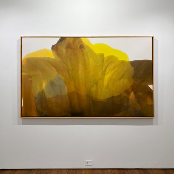 “Irene Monat Stern: I Cast My Own Shadow” at Hollis Taggart: Art Exhibition Review - Captured Howls