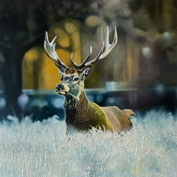 John Green - Winter Stag