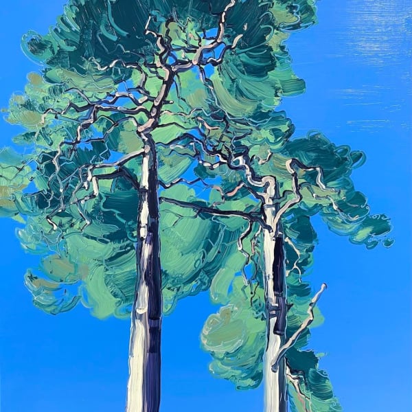 Michael Sole - Blue Sky Pines
