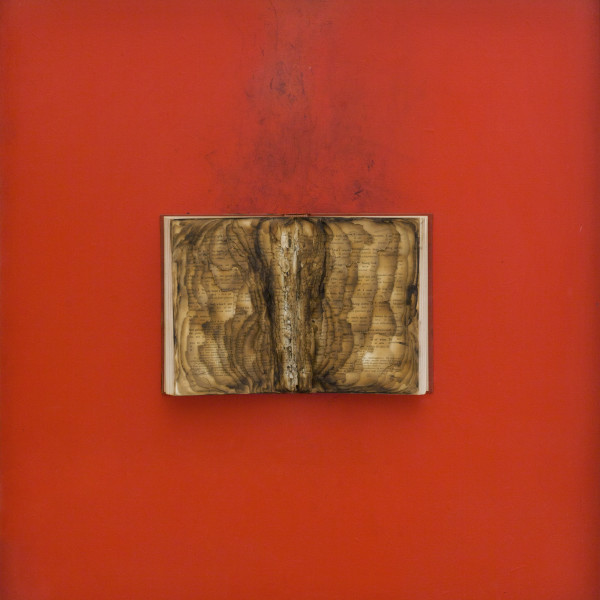 Bernard Aubertin - Livre brulé, 1974