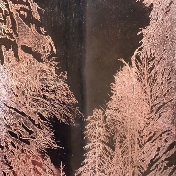Alex Gough - Metsän Hiljaisuus (Silence of the Forest), 2021