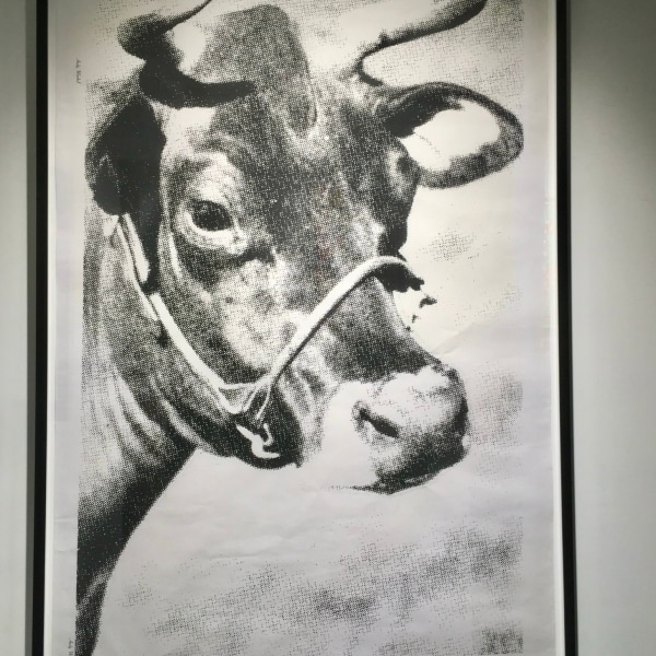 Andy Warhol, Cow (Venice Biennale edition) *RESERVED*, 1976
