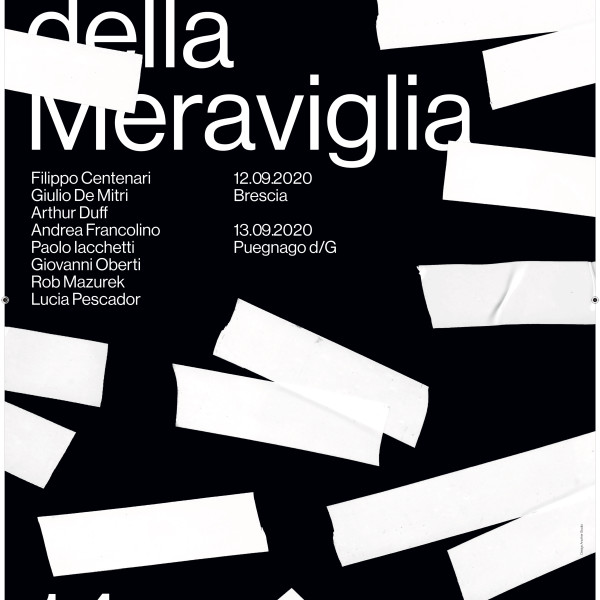 Paolo Iacchetti. Caso e Astrazione 