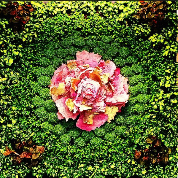 MATTEO NEGRI | SPLENDIDA VILLA CON GIARDINO, VISTE INCANTEVOLI Video, CURATA DA DANIELE CAPRA, CASA TESTORI, NOVATE MILANESE