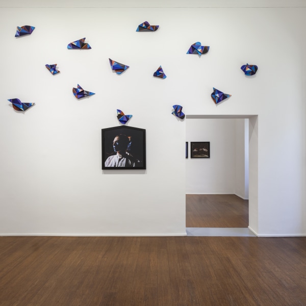 Michele Zaza. Viaggiatore assoluto, installation view