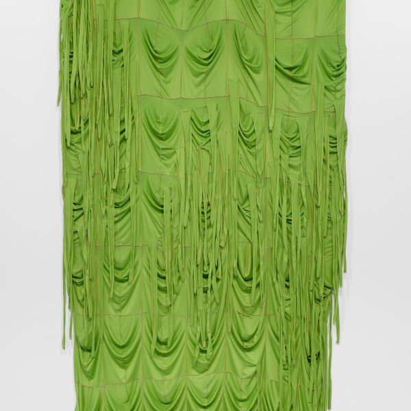Anthony Olubunmi Akinbola | Museum Acquisition
