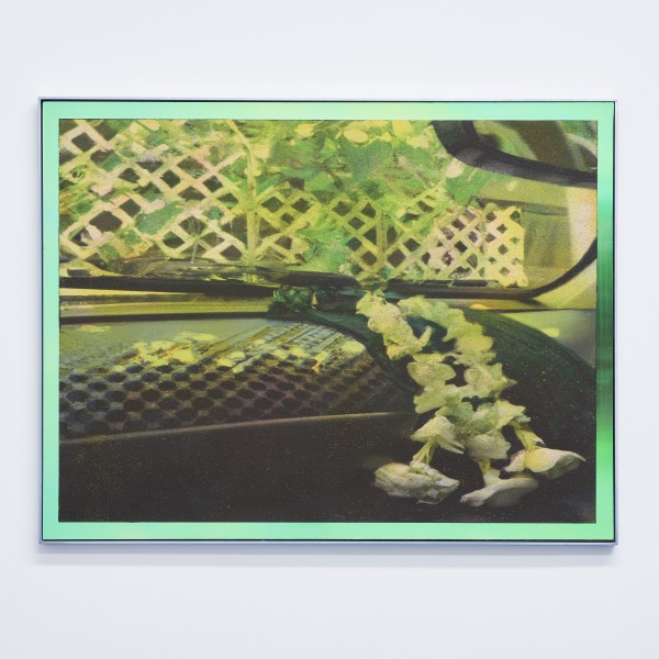 Art to enjoy this weekend, from Emirati creative Hussein Sharif to Kaws, Plus, fossilised shark teeth, portraits, native plants and...