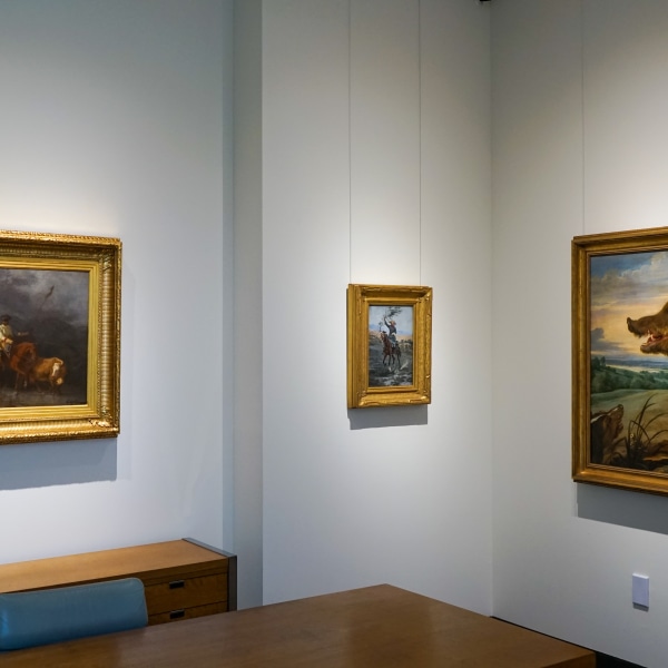 Forest and Frontier for Five Centuries