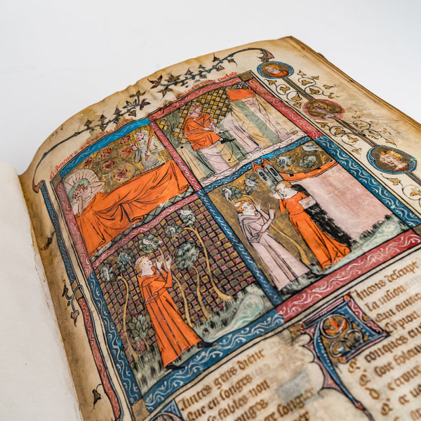 Roman de la Rose