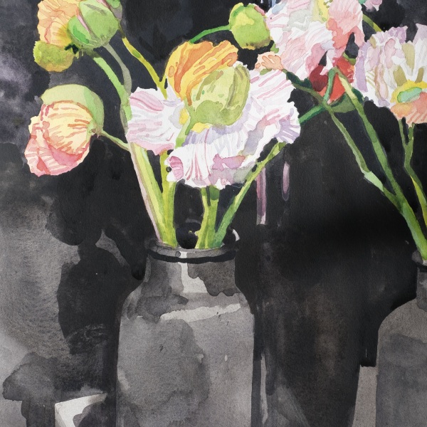 Mark Entwisle, Poppies | Artworks