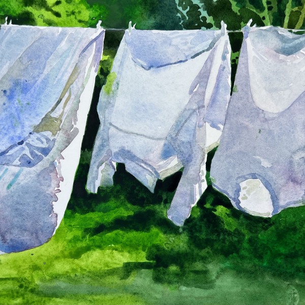 Mark Entwistle, Washing Line | RWS NOW