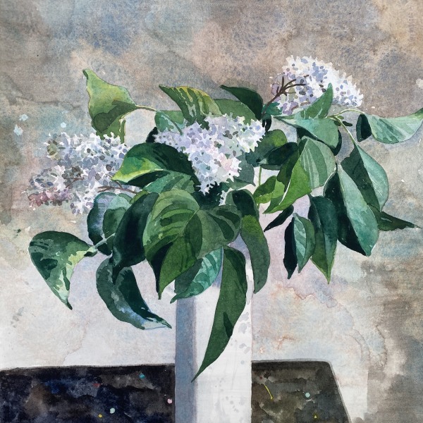 Mark Entwisle, Lilacs | Artworks