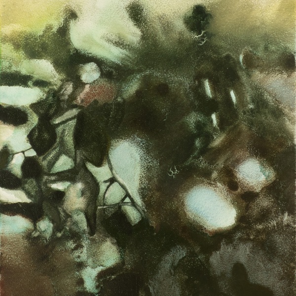 Soft Edges: An exhibition by Guest Members of the RWS