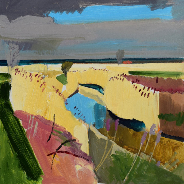 Fred Ingrams, Reeds on Methwold Severals Norfolk, 2016
