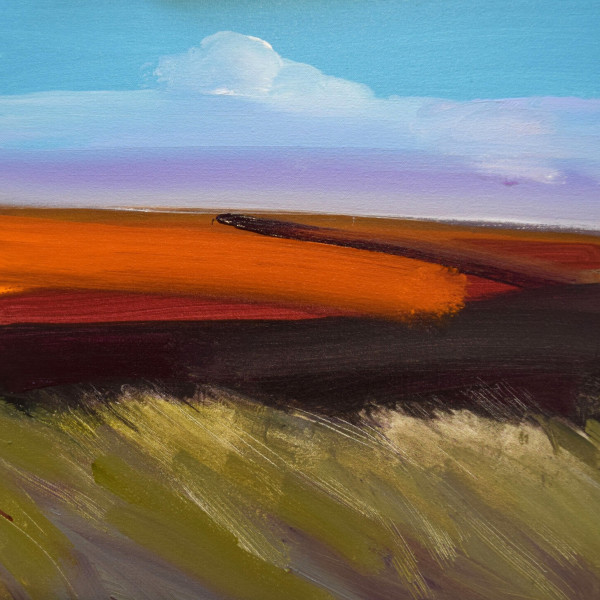 Fred Ingrams, Windy, Evening, Camster, Caithness, 2020