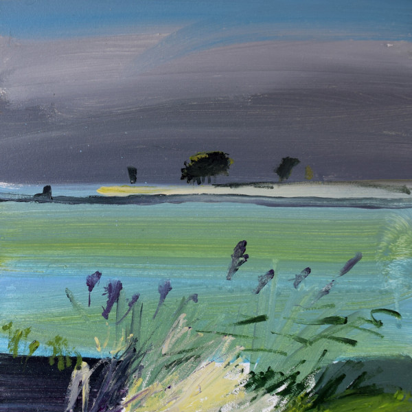 Fred Ingrams, Leeks, Bourne Farm 2019