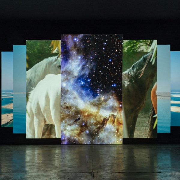 03.09.21 - Amie Siegel's 'Asterisms' premieres at the 34th São Paulo Biennial