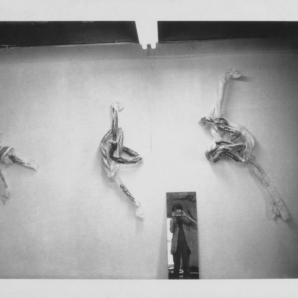 23.4.24 - Lynda Benglis ‘Knots & Videotapes 1972–1976 at Thomas Dane Gallery in London