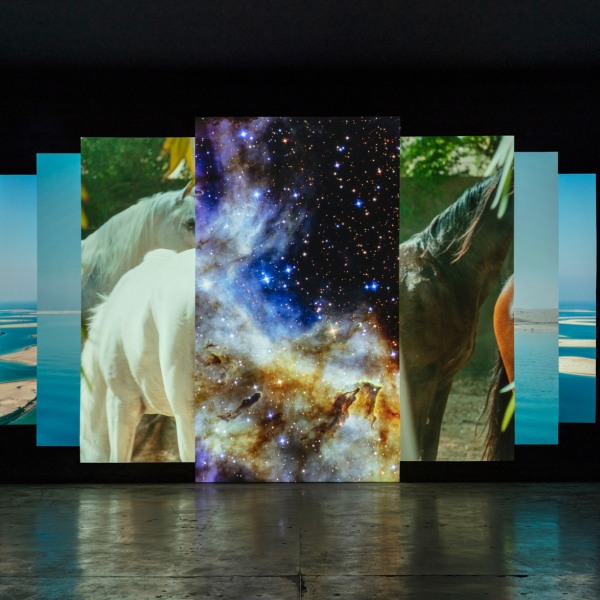 18.9.24 - Amie Siegel ‘Asterisms’ at VISUAL Centre for Contemporary Art, Ireland