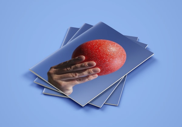 John Knuth: The Dawn brochure