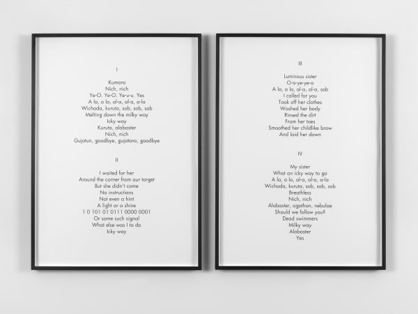 Image: Mai-Thu Perret