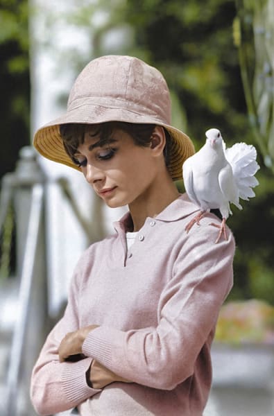 Audrey Hepburn with Dove, colourised, 1966